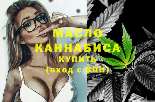 хмурый Дмитриев