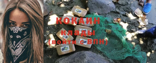 хмурый Дмитриев
