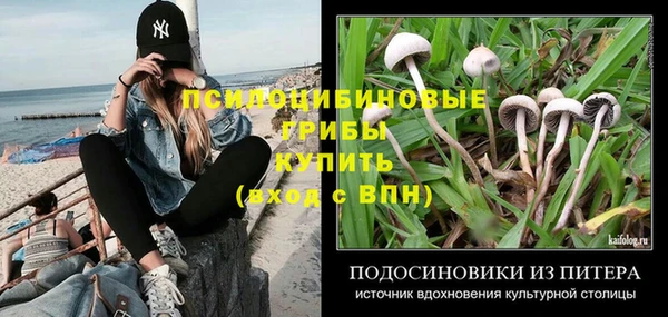 хмурый Дмитриев