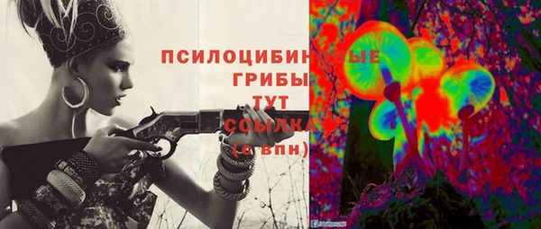 хмурый Дмитриев