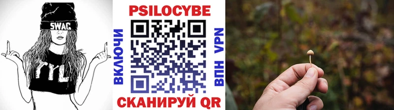 Купить  Конаково  Галлюциногенные грибы MAGIC MUSHROOMS 